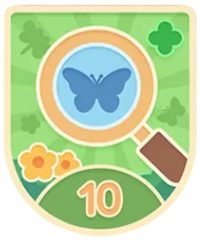 Mystic Tracker