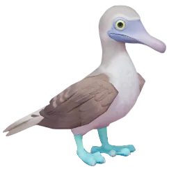 Blue-footed Booby