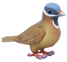 Blue-headed Quail-dove