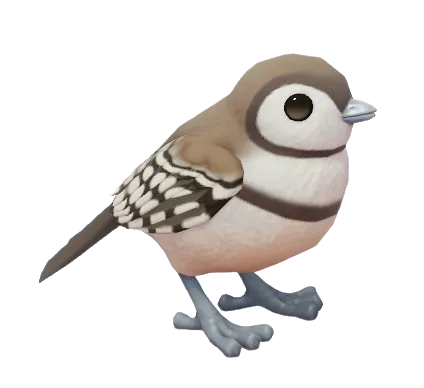 Double-barred Finch