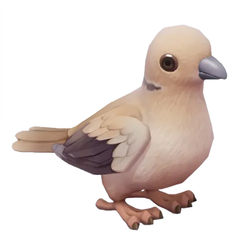 Eurasian Collared Dove