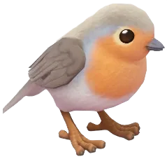 European Robin