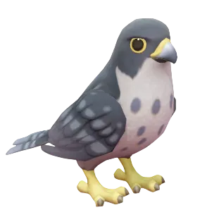 Peregrine Falcon