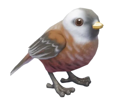 Przevalski's Parrotbill