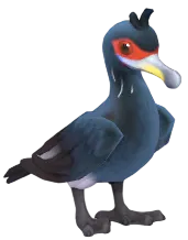 Red Faced Cormorant