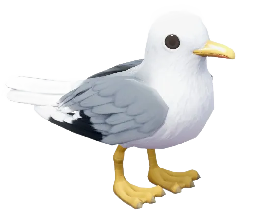 Seagull