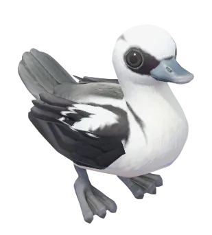 Smew
