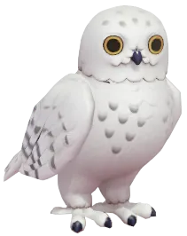 Snowy Owl