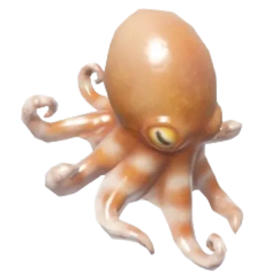 Atlantic Pygmy Octopus