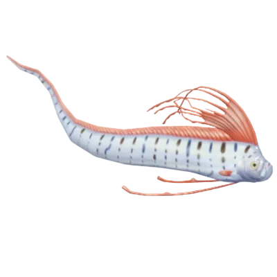 Giant Oarfish