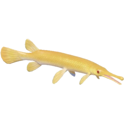 Golden Garfish