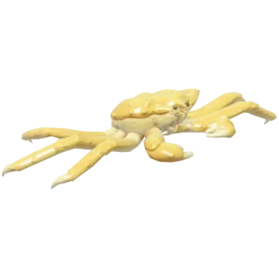 Golden King Crab