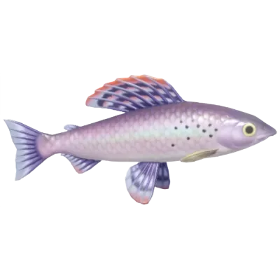 Grayling