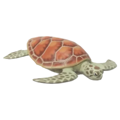 Green Sea Turtle