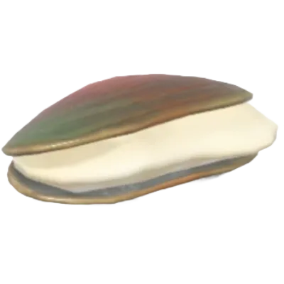Large Pearl Mussel