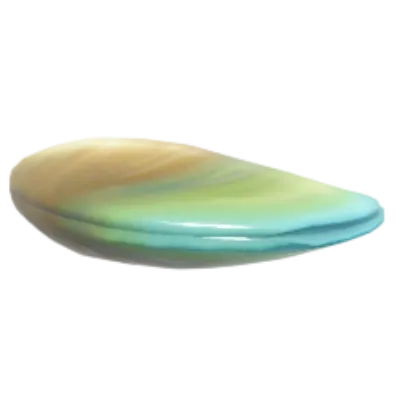 Mussel