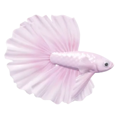 Pink Betta