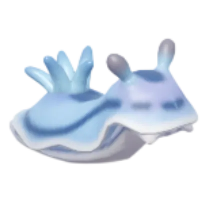 Sea Slug
