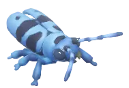 Alpine Longhorn Beetle