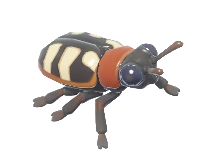 Asparagus Beetle