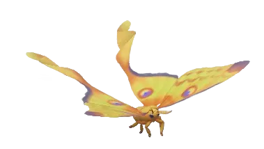 Comet Moth