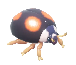 Four-spotted Ladybug