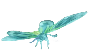 Frostspore Queen Alexandra's Birdwing