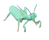 Giant Asian Mantis