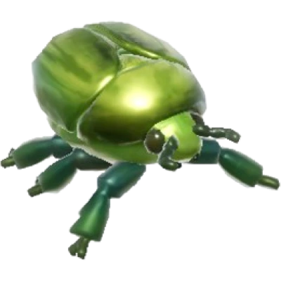 Green Flower Chafer