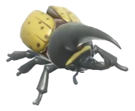 Hercules Beetle