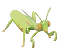 Mediterranean Mantis