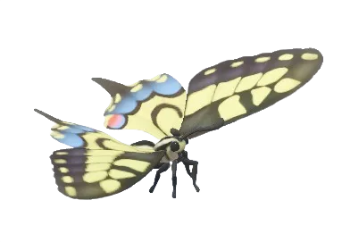 Old World Swallowtail