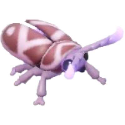 Pink-Horned Firefly