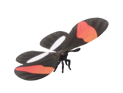 Postman Butterfly
