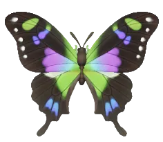 Purple Spotted Swallowtail