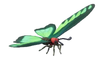 Rajah Brooke's Birdwing
