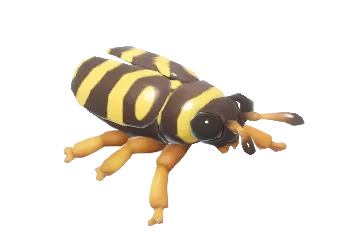 Wasp Beetle