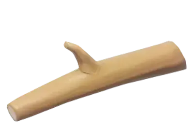Branch
