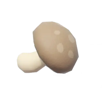 Shiitake