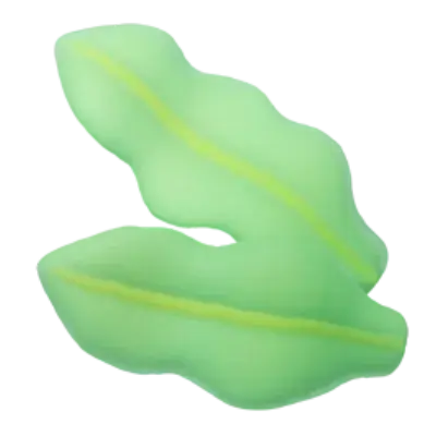 Wakame