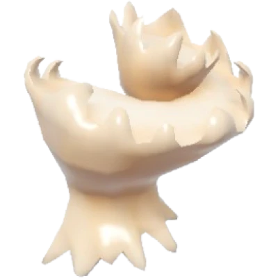 Mawe's Latiaxis