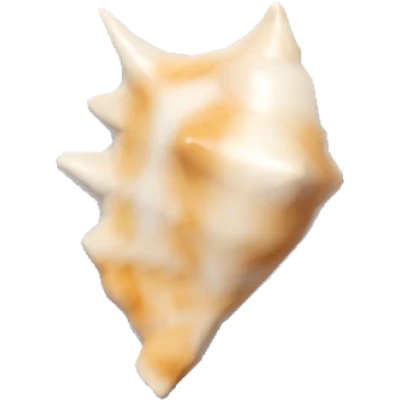 Mini Spider Conch